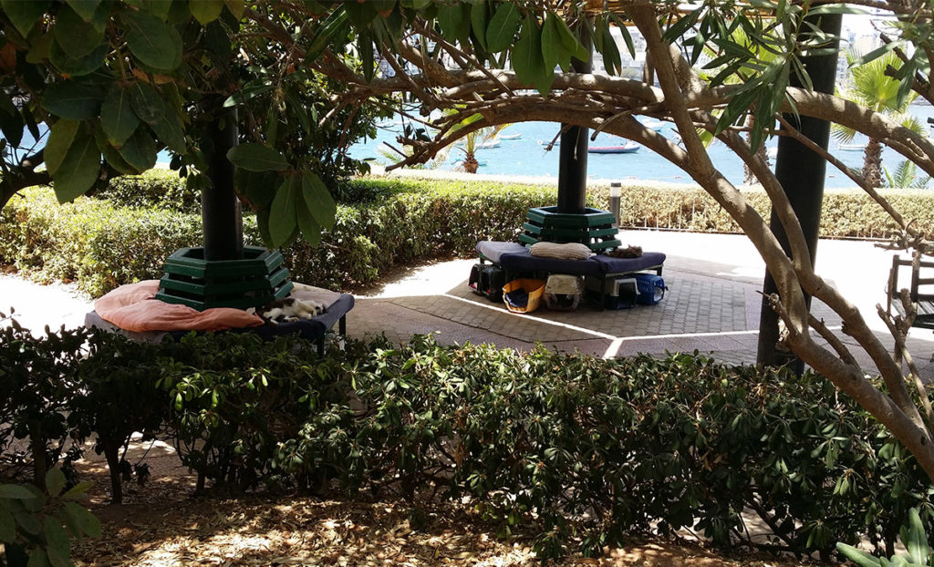 Kattparken Sliema